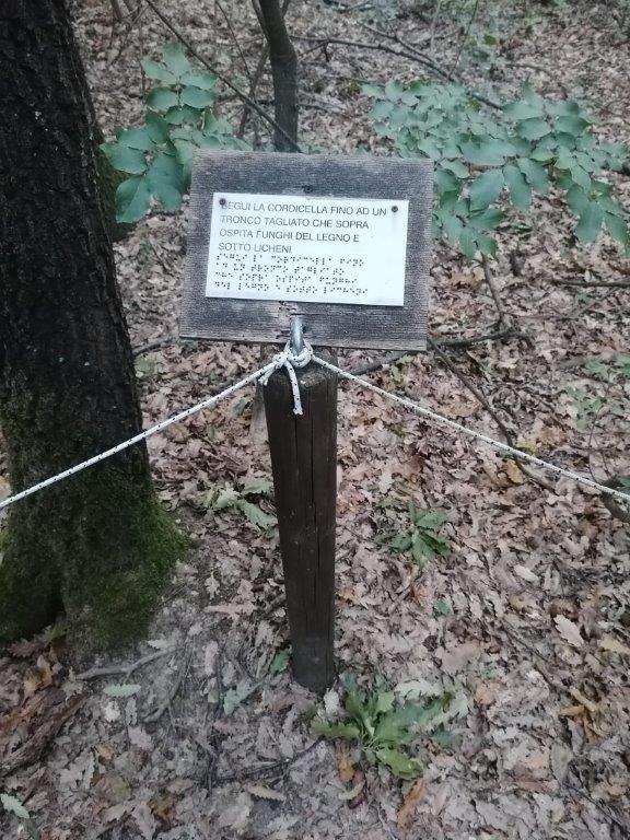 20-21/11/2022 Percorso ipovedenti - Boschi di Carrega
